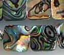 Abalone Shell 12mm Flat Square Beads