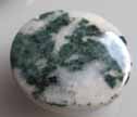 Tree Agate 24mm Disc Pendant Bead