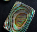 Abalone Shell Cabochons