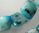 Kiwi Jasper
