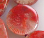 Red Horn Coral