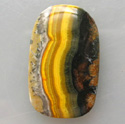 Sunflower Agate Cabochons