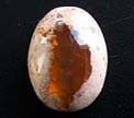 Mexican Opal Cabochons