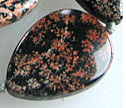Mexican Snow Flake Jasper