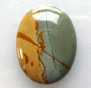 Wild Horse Jasper Cabochons