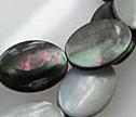 Black Shell 10x14 Oval