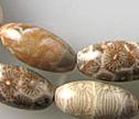 Fossil Coral  8x16mm Rice