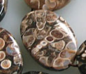 Turritella Agate Snail Fossil 18x25mm Oval Beads